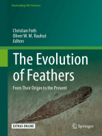 The Evolution of Feathers: From Their Origin to the Present