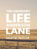 The Ordinary Life of Anderson Lane