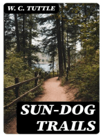 Sun-Dog Trails
