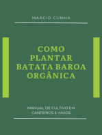 Como Plantar Batata-baroa Orgânica
