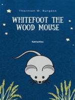 Whitefoot the Wood Mouse