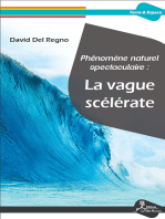 Phénomène naturel spectaculaire : la vague scélérate