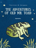 The Adventures of Old Mr. Toad