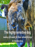 The highly sensitive dog: making life easier for these wonderful dogs