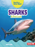 Sharks: A First Look
