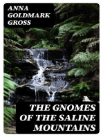 The Gnomes of the Saline Mountains: A Fantastic Narrative