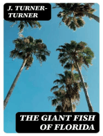 The Giant Fish of Florida