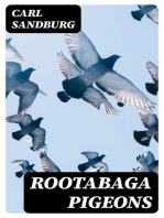Rootabaga pigeons