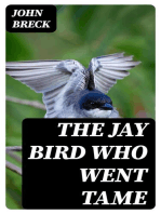 The Jay Bird Who Went Tame