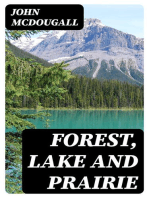 Forest, Lake and Prairie