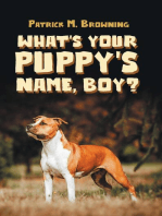 What's Your Puppy's Name, Boy?