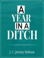 A Year In A Ditch