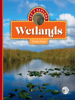 Let's Explore Wetlands