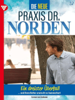 Ein dreister Überfall: Die neue Praxis Dr. Norden 32 – Arztserie