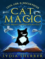 Love, Lies, and Hocus Pocus Cat Magic: The Lily Singer Adventures Novellas, #2