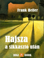 Hajsza a sikkasztó után