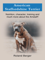 American Staffordshire Terrier: Nutrition, education, training and much more about the Amstaff