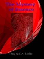 The Mystery of Essence: Shenandoan Stone Explorations, #3