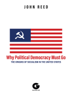 Why Political Democracy Must Go: The Origins of Socialism in the United States