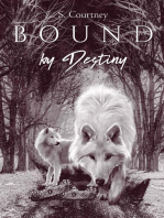 Bound by Destiny: The Bound Series, #2