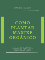 Como Plantar Maxixe Orgânico