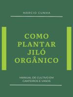 Como Plantar Jiló Orgânico