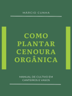 Como Plantar Cenoura Orgânica