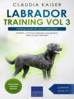 Labrador Training Vol 3 – Taking care of your Labrador