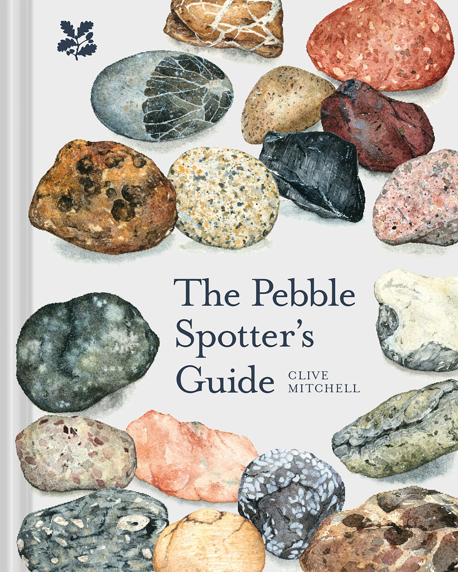 The Pebble Spotter's Guide by Clive Mitchell, National Trust Books ...