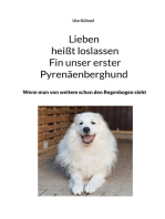 Lieben heißt loslassen Fin unser erster Pyrenäenberghund: Wenn man von weitem schon den Regenbogen sieht