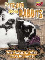 The Truth about Rabbits