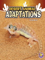 Desert Animal Adaptations