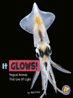 It Glows!: Magical Animals That Give Off Light