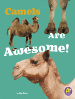 Camels Are Awesome!