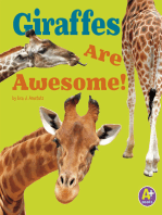 Giraffes Are Awesome!