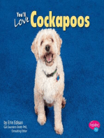 You'll Love Cockapoos