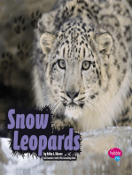 Snow Leopards