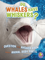 Do Whales Have Whiskers?