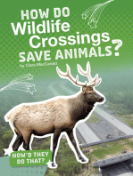 How Do Wildlife Crossings Save Animals?