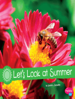 Let's Look at Summer: A 4D Book