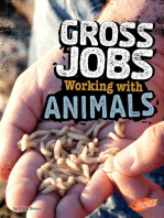Gross Jobs Working with Animals: 4D An Augmented Reading Experience