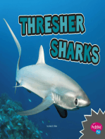 Thresher Sharks: A 4D Book