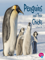 Penguins and Their Chicks