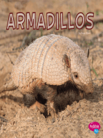 Armadillos