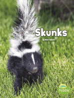 Skunks