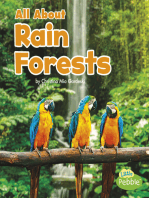 All About Rain Forests