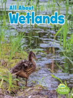 All About Wetlands