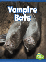 Vampire Bats: A 4D Book