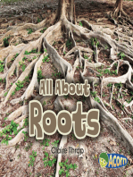 All About Roots