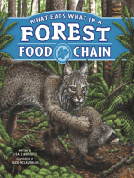 What Eats What in a Forest Food Chain